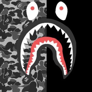 Meet your Posher, Xavier